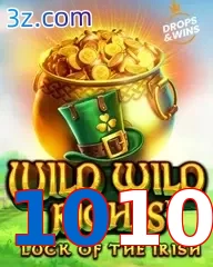 1010
